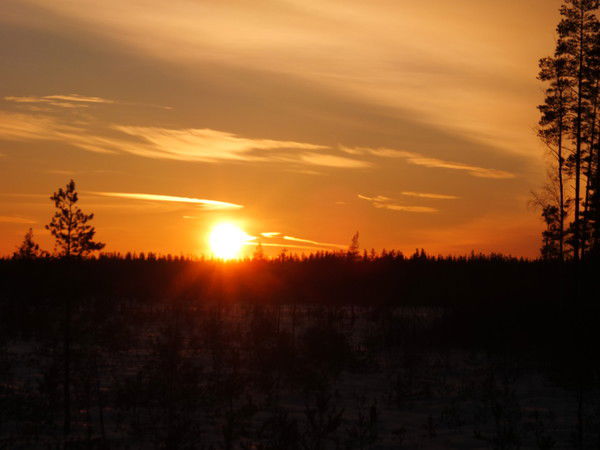 Болтобай Сотиболдиев