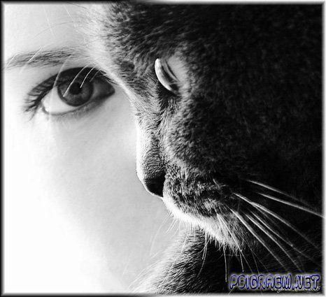 Ирина Янгулова