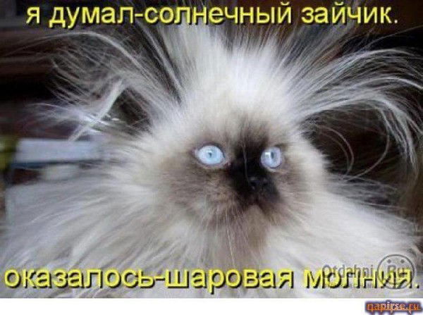 Любовь Афанасенко