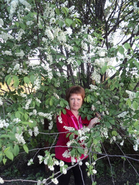 Елена Голубева