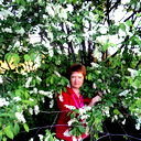 Елена Голубева