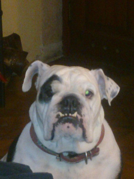 Оксана Иванова