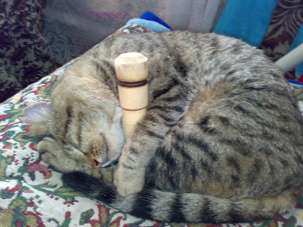 Вячеслав Вакулов