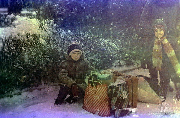 Андрей Никитин