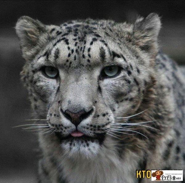 Екатерина Смирнова