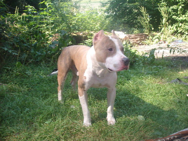 Мария Пикина