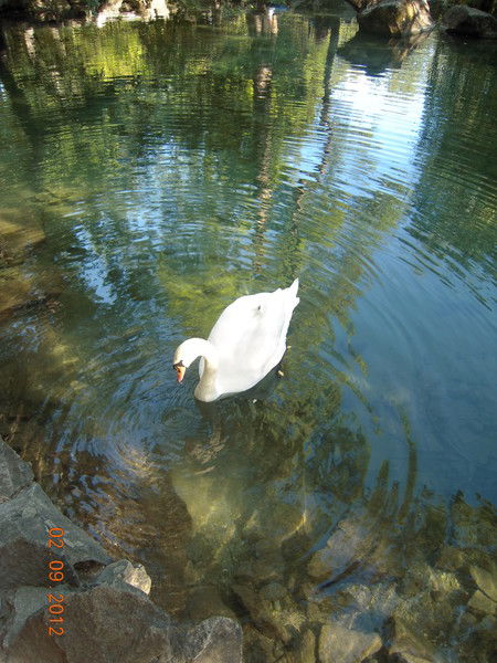 Ирина Ефремова