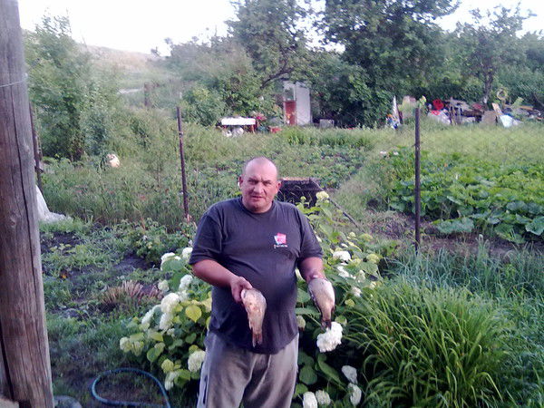 Дмитрий Сиверин