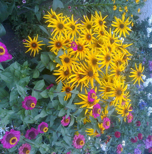 Маргарита Васильева