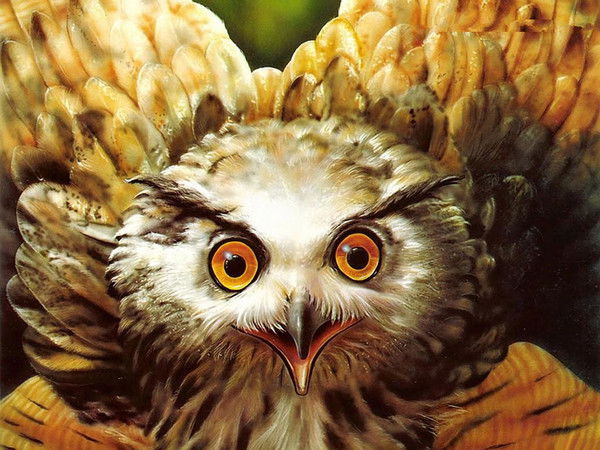 Антон Глухих