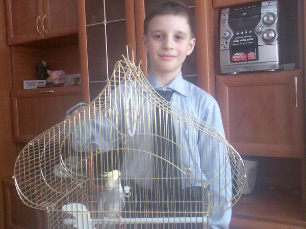 Дима Романцов