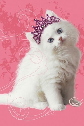 Маргарита Златина