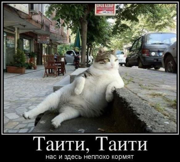 Нина Гаптулгазизова