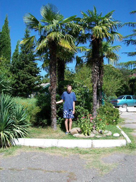 Максим Гринченко