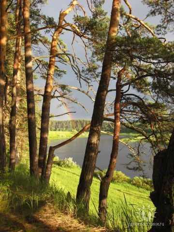 Елена Елагина