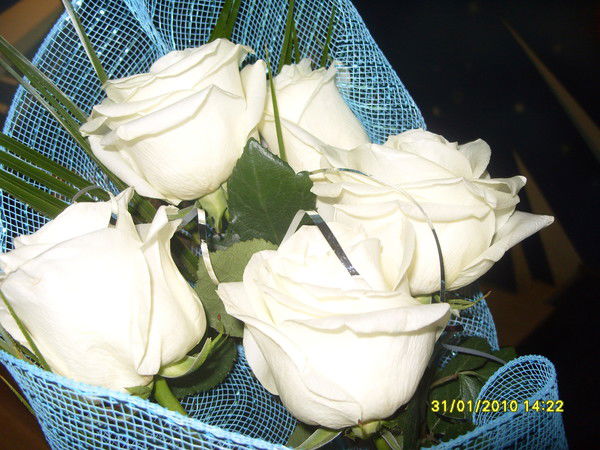 Елена Горюнкова