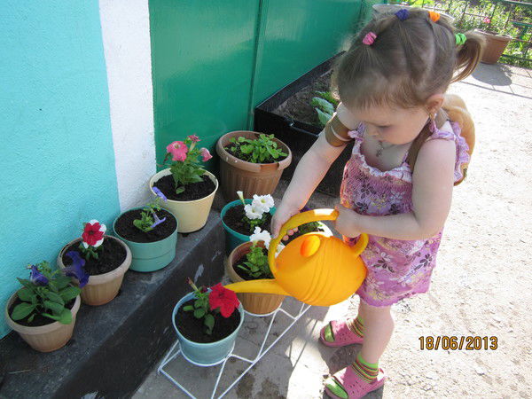 Владимир Шмидт