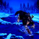 ***bold She-Wolf ***