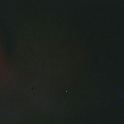 Елисавета Полицина