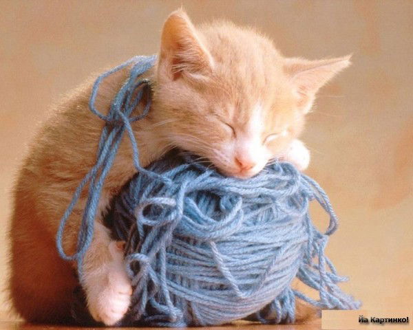 Елена Галанина