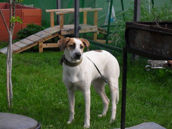 Наташа Марковская