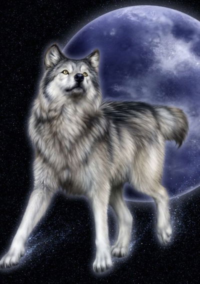 Данил Яппаров