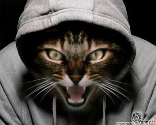 Андрей Яценко