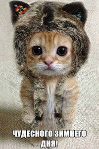 Вера Дубинина