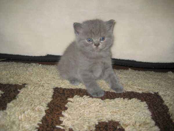 Татьяна Биндей