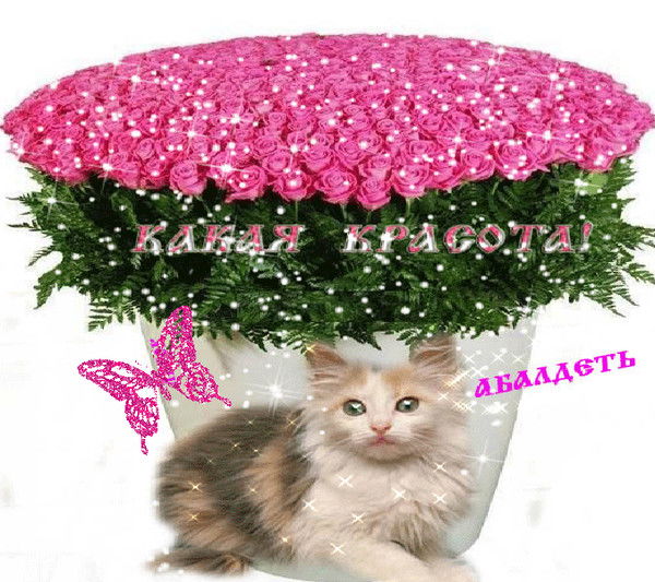 Галина Герасимова