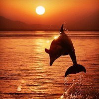 Анна Смирнова