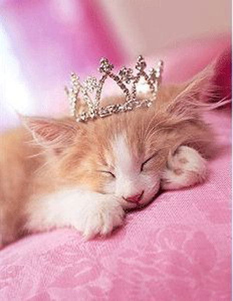 Анастасия Емельянова