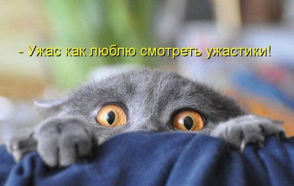 Анна Милахина