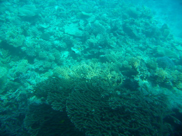 Неизвестно Неизвестно