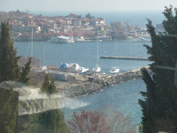 Дмитрий Саковец