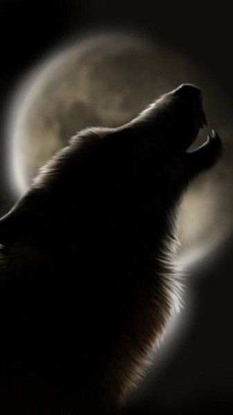 Максим Никулин