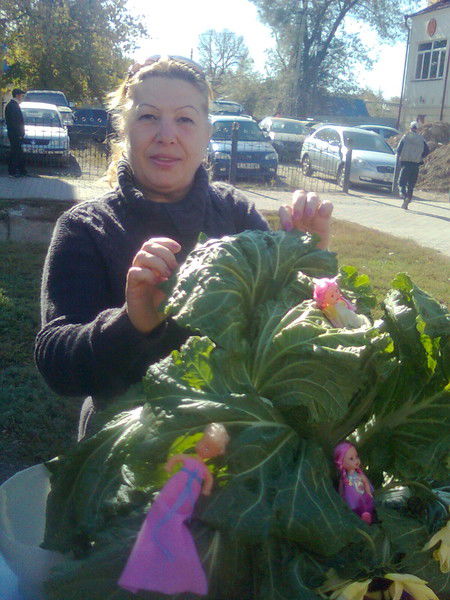 Наталия Щипицина