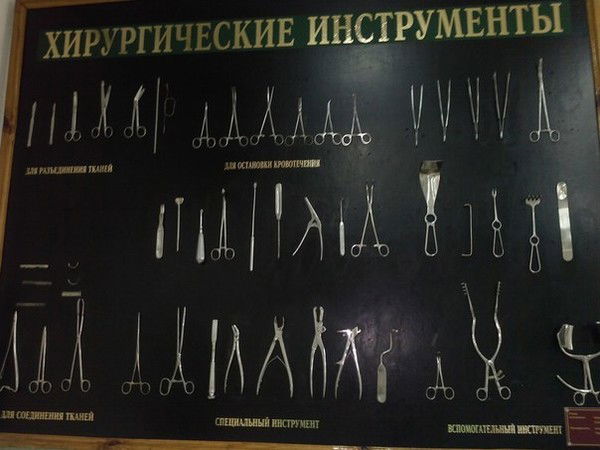 Ксения Геннадьевна