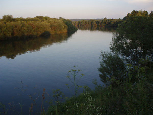 Вячеслав Криницын