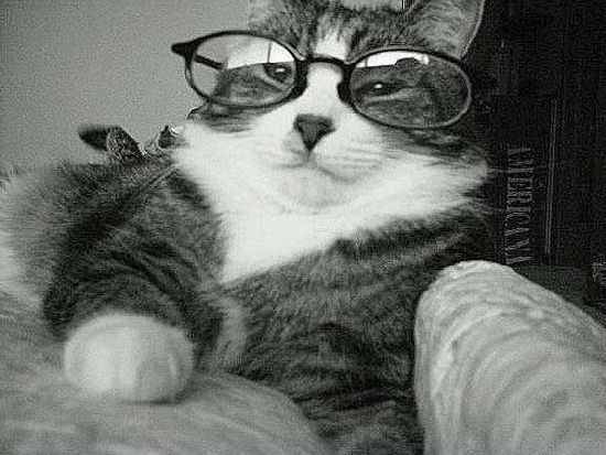 Анастасия Ушакова