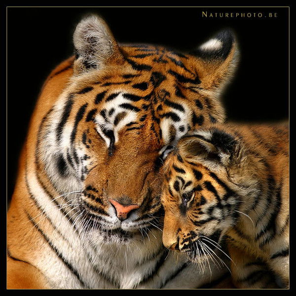 Марина Смолина