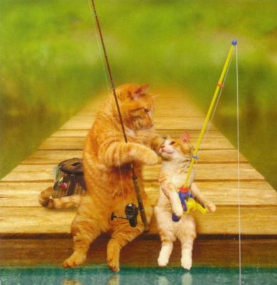 Сергей Сачков