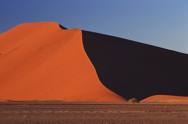 Дмитрий Бесшапошников