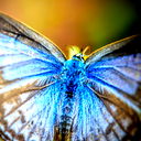 Елена Терюшкова