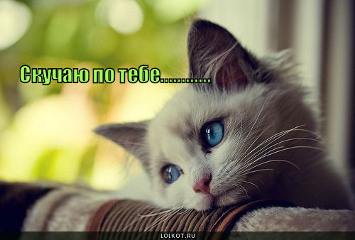 Лилия Франц