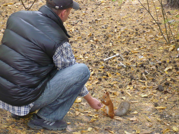 Владимир Семёнов