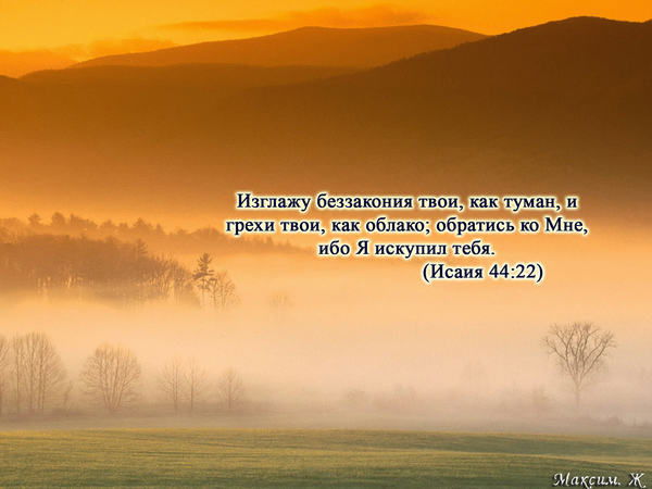 Эльната Сион