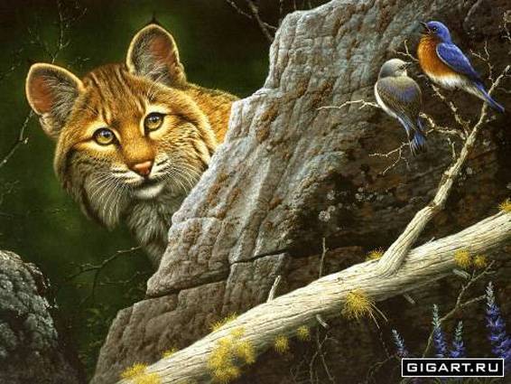 Жазира Оспанова