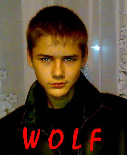 Владимир Гинкул