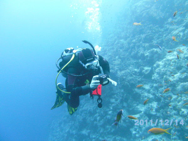 Алексей Курносов